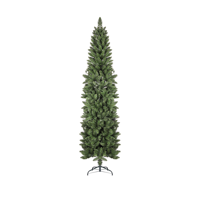 Pencil Canadian Fir Christmas Tree