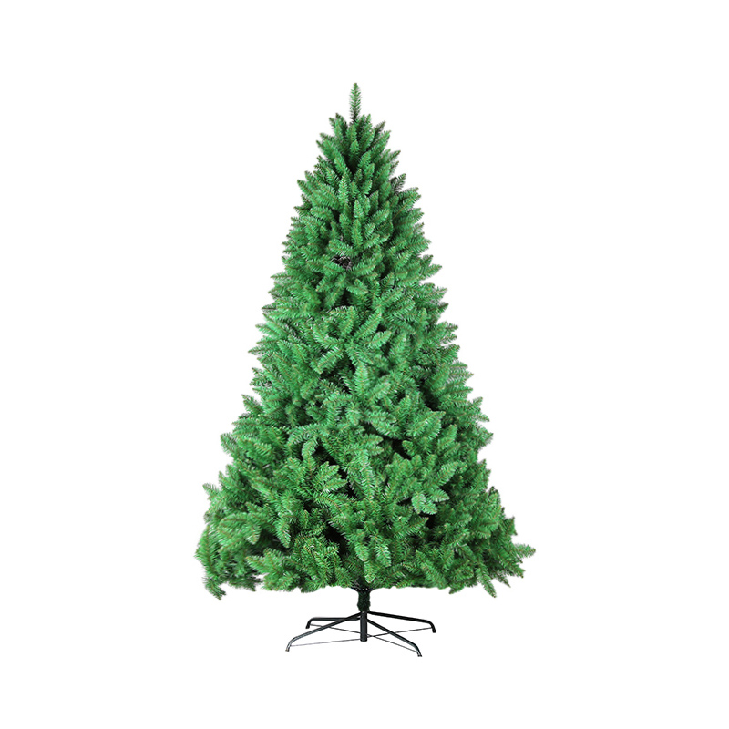 Dunhill Fir Christmas Tree